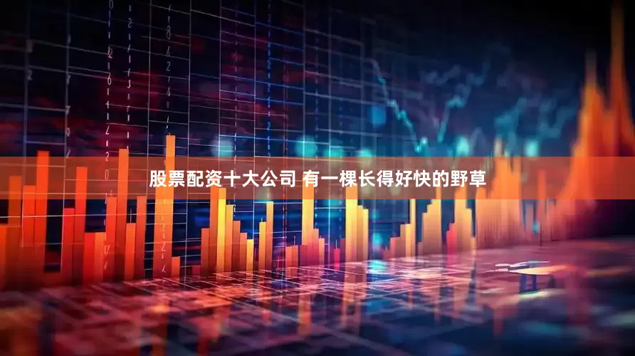 股票配资十大公司 有一棵长得好快的野草