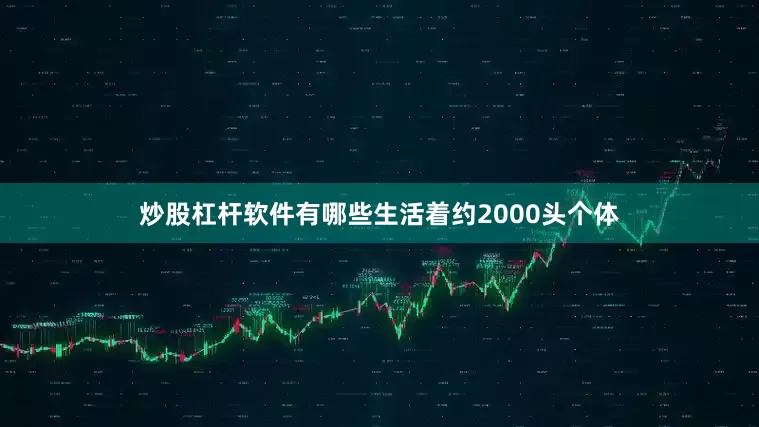 炒股杠杆软件有哪些生活着约2000头个体