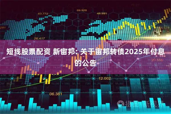 短线股票配资 新宙邦: 关于宙邦转债2025年付息的公告