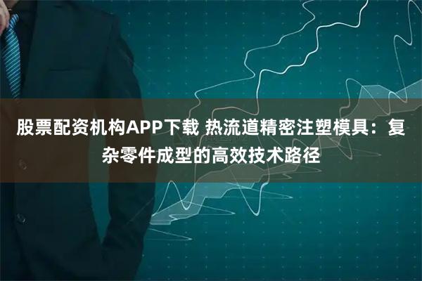 股票配资机构APP下载 热流道精密注塑模具:复杂零件成型的高效技术路径