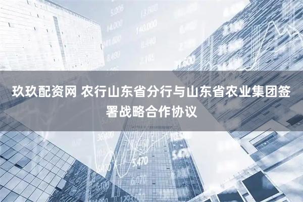 玖玖配资网 农行山东省分行与山东省农业集团签署战略合作协议
