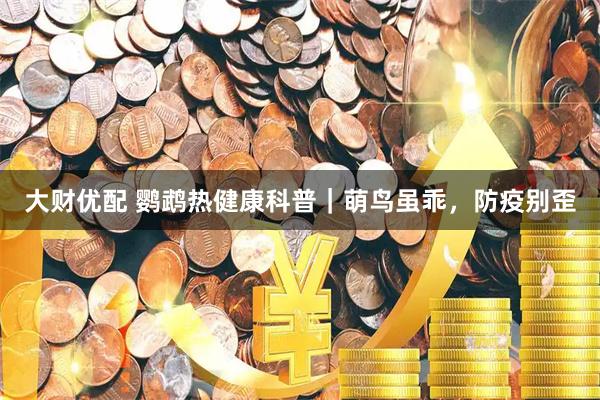 大财优配 鹦鹉热健康科普｜萌鸟虽乖，防疫别歪