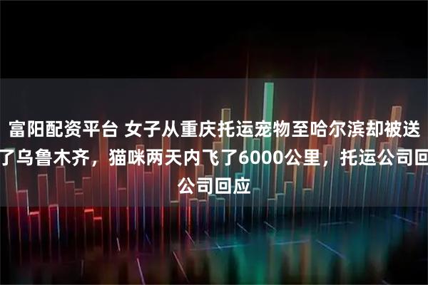富阳配资平台 女子从重庆托运宠物至哈尔滨却被送到了乌鲁木齐，猫咪两天内飞了6000公里，托运公司回应